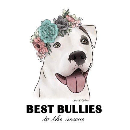 Smiling pit bull wearing flower crown illustration