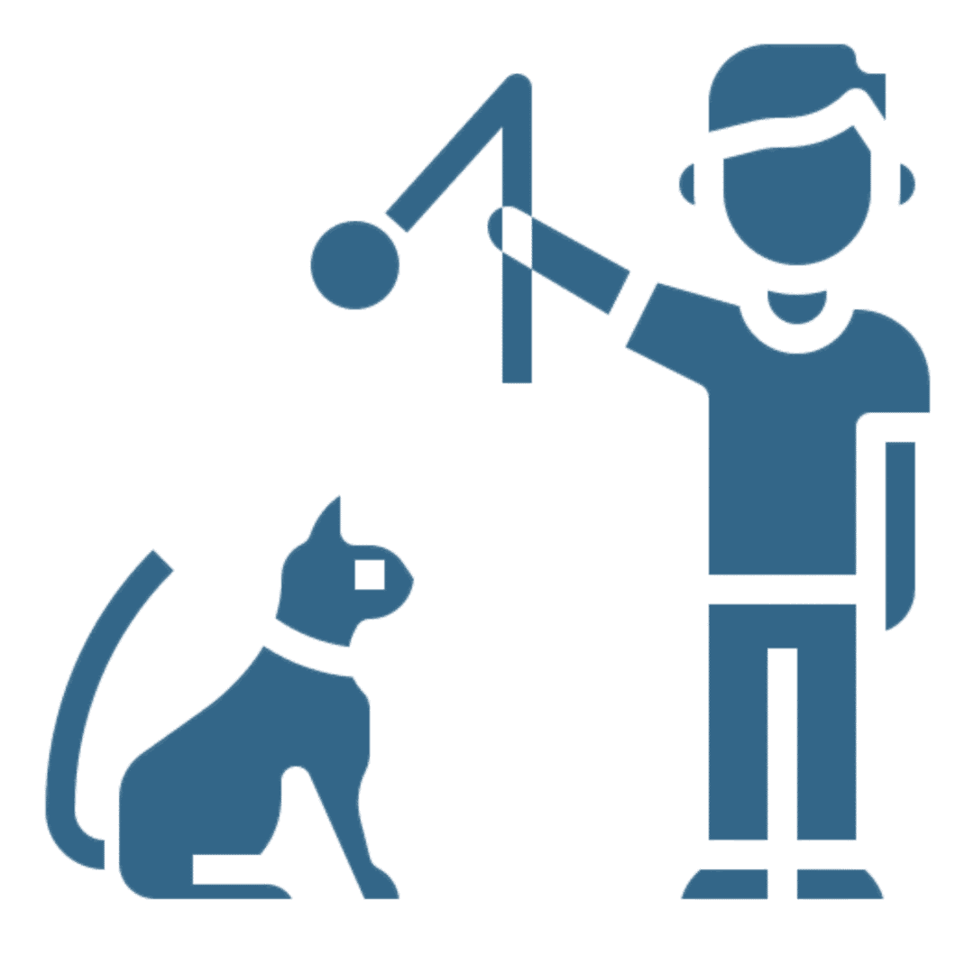 Cat sitting, person playing with toy
