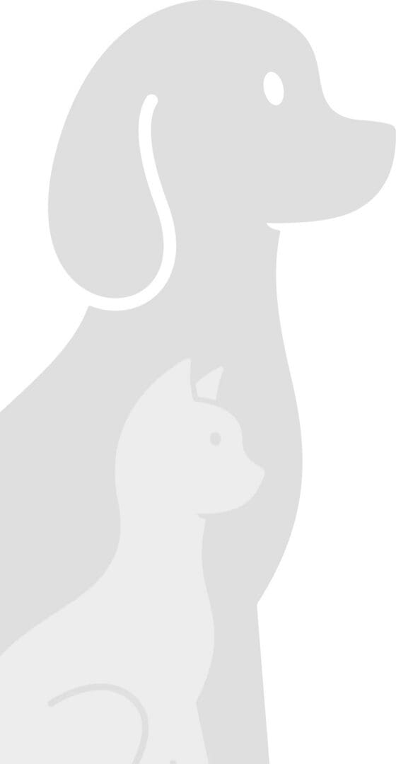 Dog silhouette with cat inside
